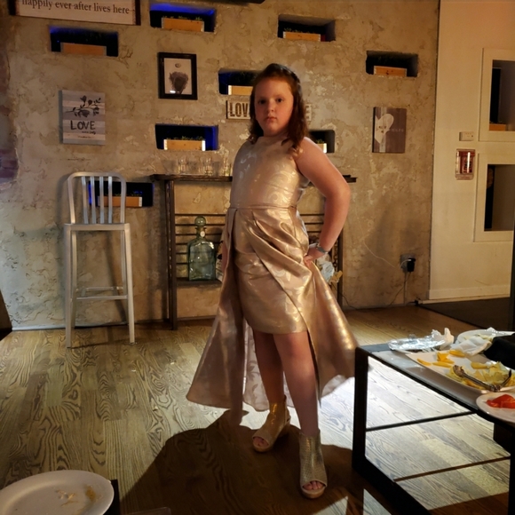 Rare Editions Other - HOST PICK EUC Rare Edition Rose Gold Dress Size 16